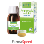 ampelopsis wei mg 60ml int