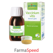 vaccinium vitis mg 60ml int