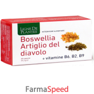 boswellia artiglio diavol60cps