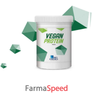 vegan protein 500g