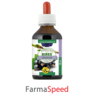 ribes nigrum gemmoderiv 100ml