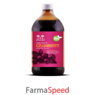 salugea succo cranberry bio