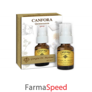 canfora quintessenza spray 15 ml