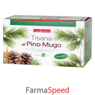 naturplus tisana pino mugo 20 filtri