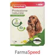 protezione naturale coll cane