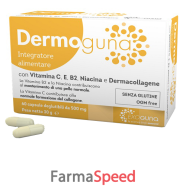 dermoguna 60 capsule 500 mg