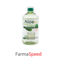 aloe succo e polpa 100% 1 lt