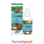 i sorbetti cocomint acqua idra