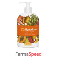 i sorbetti mangoboom sap 500ml