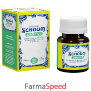 soluzione schoum digest 20fizz