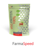 veg protein100% nocciola 480g