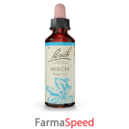 beech bach orig 20 ml