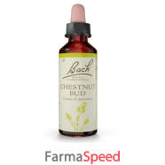 chestnut bud bach orig 20 ml