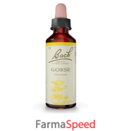 gorse bach orig 20 ml