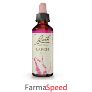 larch bach orig 20 ml