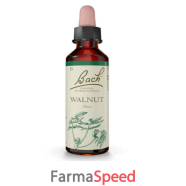 walnut bach orig 20 ml