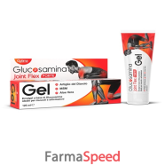 glucosamina joint flex gel ft