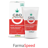 cbd crema antiossidante 40g