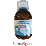 niagara collutorio 200ml