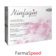 ninfagin 14bust