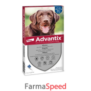 advantix spot on*6pip 25-40kg