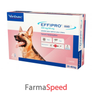 effipro duo*4pip 20-40kg cani