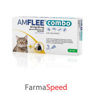 amflee combo*3pip gatti/furett