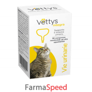 vettys integra vie urin gatto