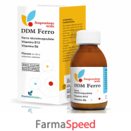 ddm ferro soluzione 120ml