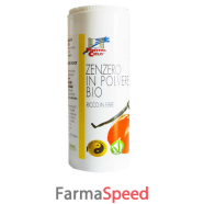 zenzero in polvere 80g