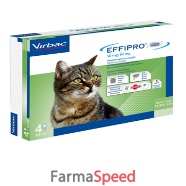 effipro duo*4pip 1-6kg gatti