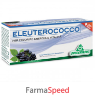 eleuterococco 12flx10ml