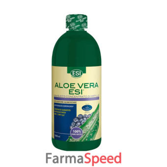 aloe vera succo mirtillo 1000 ml