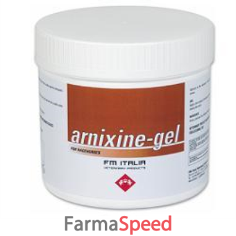 arnixine gel 750ml