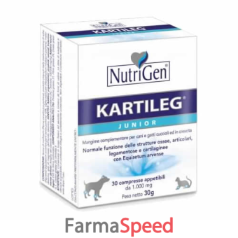 kartileg junior 120 tavolette