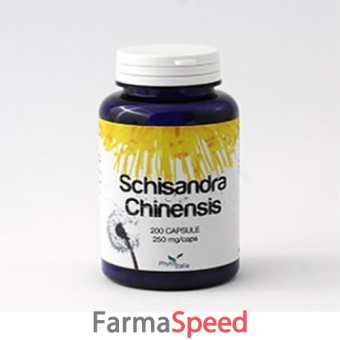 schisandrae chinensis 60 capsule