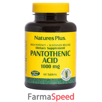 acido pantotenico 1000 mg 60 tavolette