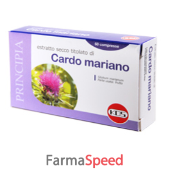 cardo mariano estratto secco 60 compresse