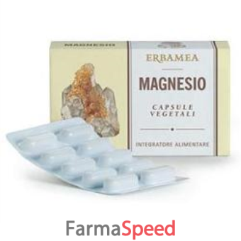 magnesio 24 capsule 1200 mg