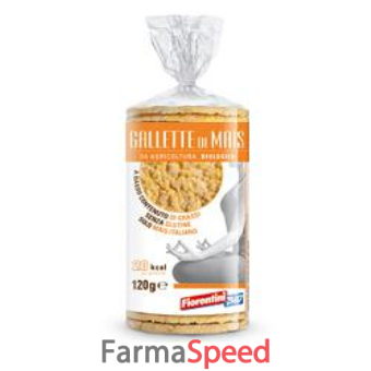 bio gallette mais 120 g