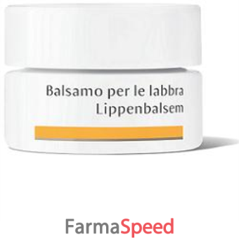 dr hauschka balsamo labbra 4,5g