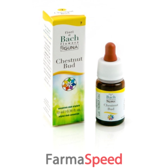 chestnut bud gocce 10 ml