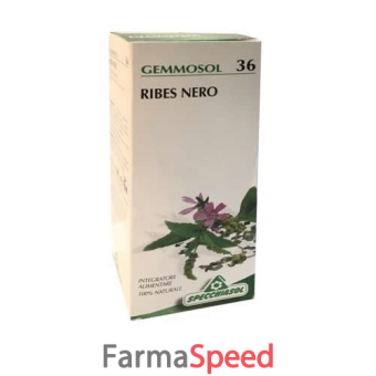 gemmosol 36 ribes nero 50ml