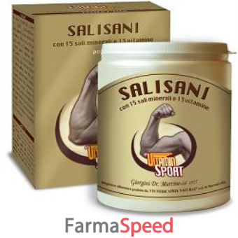 salisani vitaminsport 360 g polvere