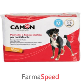 pannolini a fascia cani maschi misura 1 12 pezzi