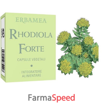 rhodiola forte capsule