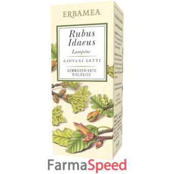 rubus idaeus lampone 50 ml