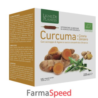 curcuma cicoria zenzero bio 15 ampolle bevibili da 15 ml