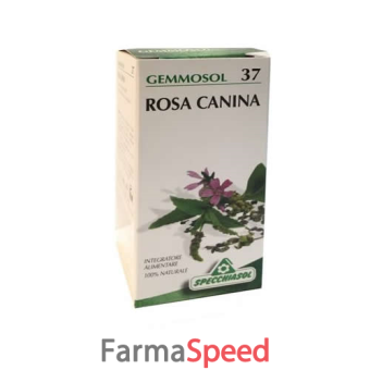 gemmosol 37 rosa canina 50ml