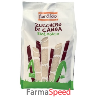 zucchero di canna bio